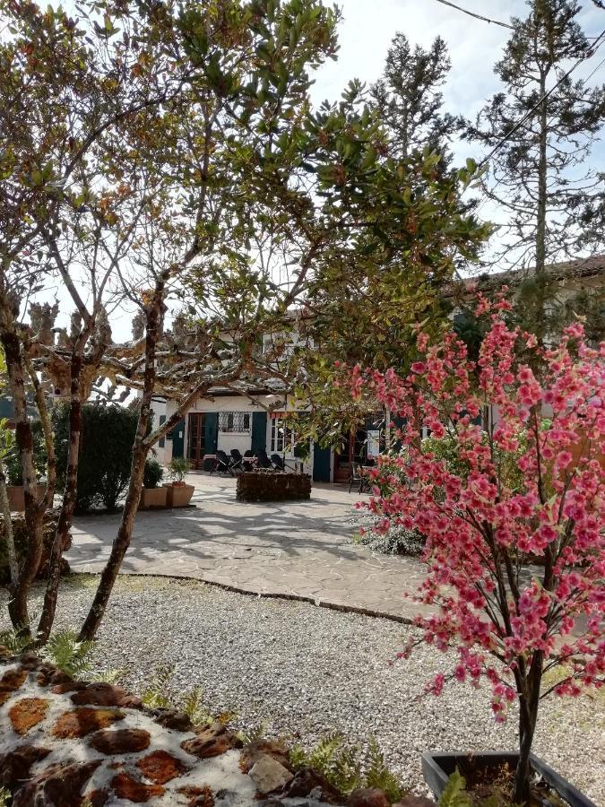 L'Auberge De Lugos Exteriör bild